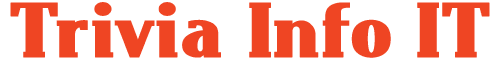 Trivia Info IT - Website designer in Surat