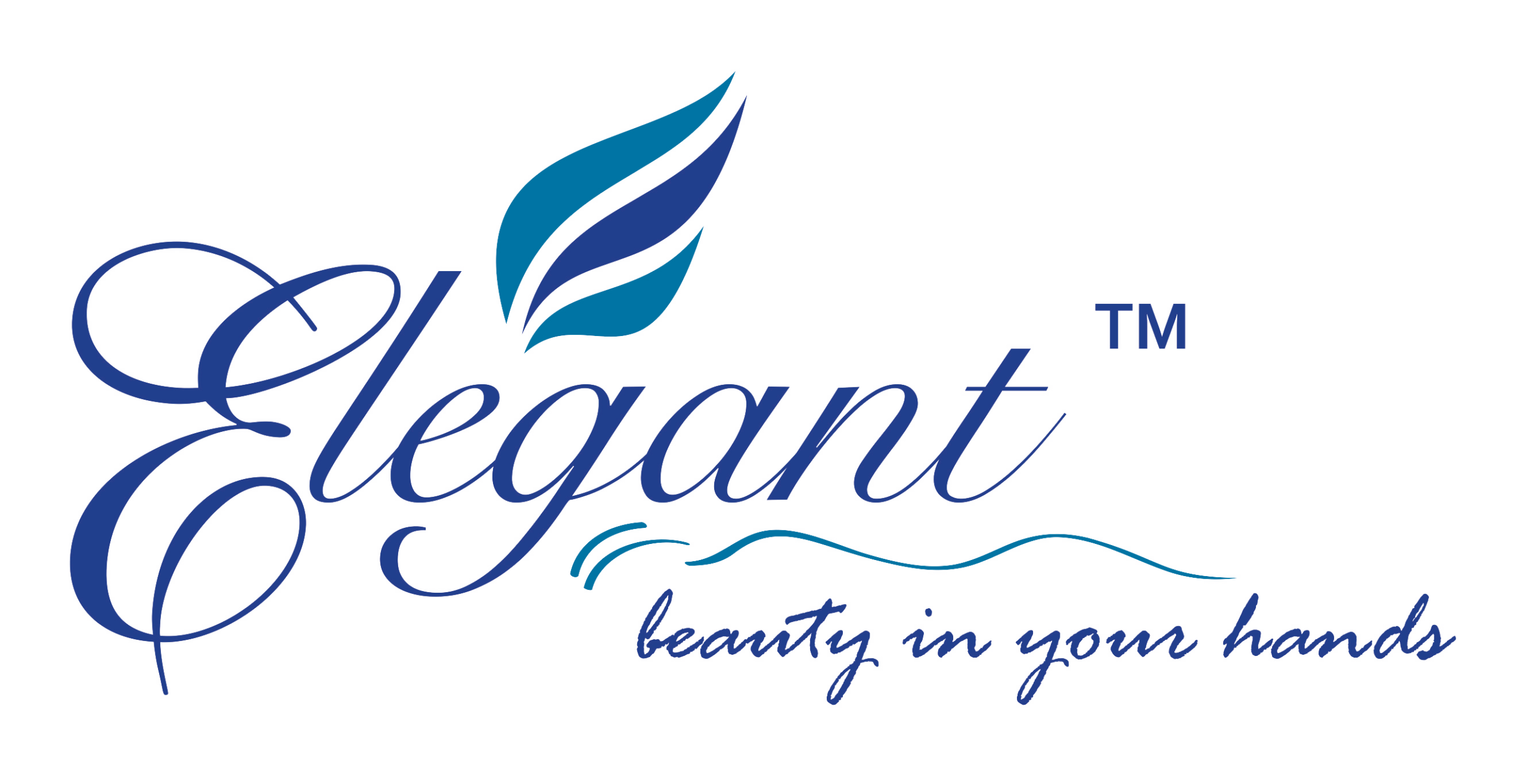 Website designer for Elegant Razor in Surat Web designer for Elegant Razor in Surat